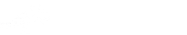 CC Home Design